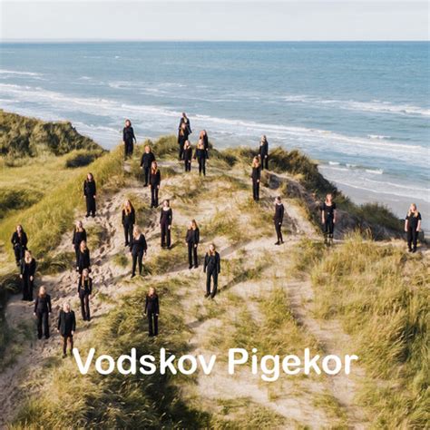 vejret vodskov|Vejret Vodskov 